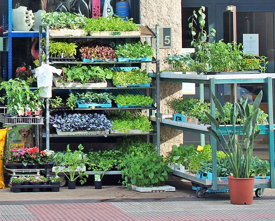 Todo lo que necesites sobre agricultura en Meaño